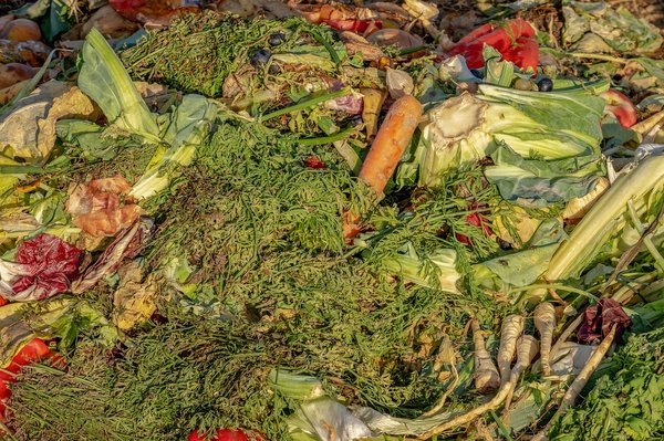 What are the new UK guidelines for food waste management in 2023?